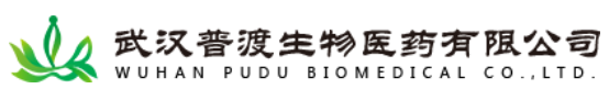 武汉
